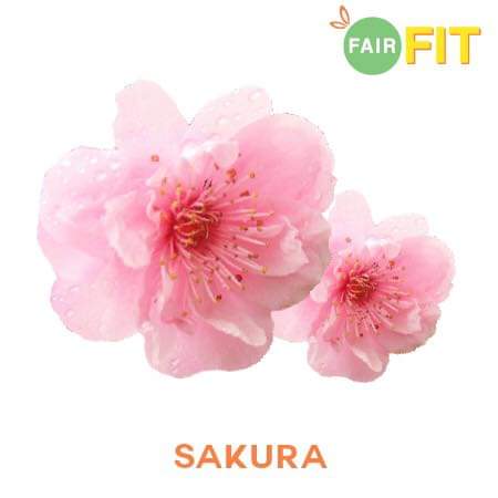 FAIR FIT MENGAWAL BERAT BADAN DAN SELERA MAKAN - Fair Fit ! Apa Fair Fit ini?? Kalau korang nak tahu Fair Fit ini, merupakan produk keluaran Cik Epal dan suaminya Jofliam ! Fair Fit ini ramai yang gelarkannya sebagai JUS KURUS ! Tapi, sebenarnya Fair Fit ini, bukan sahaja untuk kurus. Malah banyak keistimewaannya. Nanti mummy cerita ye ! Mummy baru juga mengambil FAIR FIT untuk MENGAWAL BERAT BADAN dan SELERA MAKAN. Pepaham je lah breastfeeding mom ni macam mana ! Selera makan tu, macam apa ! Setiap masa LAPAR ! Padahal dah breakfast nasi lemak, lunch pun nasi juga. Dinner? Memang nasi jug lah hahaha. So, badan ni, membesar jangan cakaplah ! FAIR FIT MENGAWAL BERAT BADAN DAN SELERA MAKAN Orang kata, usaha tangga kejayaan. Oleh itu...mummy memang tak tunggu dah...terus ambil FAIR FIT untuk MENGAWAL BERAT BADAN DAN SELERA MAKAN mummy sebelum terlambat ! Eh..eh..breastfeeding boleh ambil FAIR FIT ke? Yes, ibu-ibu yang sedang menyusukan anak (anak lebih 6 bulan) boleh ambil Fair Fit dah ! Insyaallah selamat ! KELEBIHAN FAIR FIT SELAIN MENGAWAL BERAT BADAN DAN SELERA MAKAN Ha....Fair Fit ini, bukan sahaja mengawal berat badan dan selera makan tau tapi ada banyak kelebihan Fair Fit ini , seperti :- Kelebihan Fair Fit : Mengawal Selera Makan Kelebihan Fair Fit : Mengawal Berat Badan Kelebihan Fair Fit : Membakar lemak Kelebihan Fair Fit : Menambah Tenaga Bab menambah tenaga ni, mummy rasa penting untuk persiapan bulan puasa Ramadan. Tak adalah badan lesu yakmat kan ! Kelebihan Fair Fit : Merawat Kulit Kelebihan Fair Fit : Mencerahkan kulit KEUNIKAN FAIR FIT Keunikan Fair Fit *Satu-satunya produk istimewa yang menggabungkan teknologi formula untuk putih dan kurus *Sesuai untuk lelaki dan perempuan *Tidak perlu bancuh, boleh terus minum. Rasanya macam mana? Masam masam manis ! Sedap ! *Rasa buah dan mengekalkan tenaga sepanjang hari * Gerenti tiada kesan kembali gemuk selepas berhenti * Tiada cirit birit, sembelit atau kesan yang tidak menyenangkan BELI FAIR FIT DENGAN AGEN @fairfitselangordarulehsan Beli Fair Fit dengan agen @selangordarulehsan jommm.. trusted seller Fair Fit. COD (kawasan terpilih), serta pengeposan segera (same day) atau courier. FREE delivery ! FREE gifts pun ada tau ! TESTIMONI CIK EPAL KURUS DENGAN FAIR FIT Testimoni kurus dengan Fair Fit ini, founder Cik Epal dah test sebelum Fair Fit ini di jual dan di keluarkan. Nampak tak perubahan Cik Epal tu ha? CIk Epal ,akin berseri, cantik dan kurus kan? Tunggu 3 bulan, mummy tepek gambar mummy pulak ye ! BAHAN-BAHAN YANG ADA DALAM FAIR FIT ! Apa bahan yang ada dalam Fair Fit? FairFit merupakan produk kurus yang diperbuat daripada bahan semula jadi seperti Garcinia Cambogia, Prune, Sakura, African Bush Mango, Guarana dan Ginkgo Biloba. Antara khasiat bahan-bahan tersebut :- . FAIR FIT SELAMAT ! ADA HALAL DAN PENGELASAN MINUMAN DARI KKM Dalam mencari produk kurus yang sesuai, kita bukan melihat kepada keberkesanannya sahaja tetapi kita juga harus melihat sejauh mana sesuatu produk itu SELAMAT DIGUNAKAN FairFit telah disahkan selamat oleh pengkelasan makanan dan minuman KEMENTERIAN KESIHATAN MALAYSIA (KKM) (No.Rujukan : 150617/06/022) FairFit juga telah mendapat pengesahan HALAL daripada JAKIM. Jangan tunggu lama sangat jom dapatkan Fair Fit dari kami : Whatsapp : http://www.wasap.my/60126460421/nakfairfit Instagram : https://www.instagram.com/fairfitselangordarulehsan/?hl=en FAIR FIT MENGAWAL BERAT BADAN DAN SELERA MAKAN - Fair Fit ! Apa Fair Fit ini?? Kalau korang nak tahu Fair Fit ini, merupakan produk keluaran Cik Epal dan suaminya Jofliam ! Fair Fit ini ramai yang gelarkannya sebagai JUS KURUS ! Tapi, sebenarnya Fair Fit ini, bukan sahaja untuk kurus. Malah banyak keistimewaannya. Nanti mummy cerita ye ! Mummy baru juga mengambil FAIR FIT untuk MENGAWAL BERAT BADAN dan SELERA MAKAN. Pepaham je lah breastfeeding mom ni macam mana ! Selera makan tu, macam apa ! Setiap masa LAPAR ! Padahal dah breakfast nasi lemak, lunch pun nasi juga. Dinner? Memang nasi jug lah hahaha. So, badan ni, membesar jangan cakaplah ! FAIR FIT MENGAWAL BERAT BADAN DAN SELERA MAKAN Orang kata, usaha tangga kejayaan. Oleh itu...mummy memang tak tunggu dah...terus ambil FAIR FIT untuk MENGAWAL BERAT BADAN DAN SELERA MAKAN mummy sebelum terlambat ! Eh..eh..breastfeeding boleh ambil FAIR FIT ke? Yes, ibu-ibu yang sedang menyusukan anak (anak lebih 6 bulan) boleh ambil Fair Fit dah ! Insyaallah selamat ! KELEBIHAN FAIR FIT SELAIN MENGAWAL BERAT BADAN DAN SELERA MAKAN Ha....Fair Fit ini, bukan sahaja mengawal berat badan dan selera makan tau tapi ada banyak kelebihan Fair Fit ini , seperti :- Kelebihan Fair Fit : Mengawal Selera Makan Kelebihan Fair Fit : Mengawal Berat Badan Kelebihan Fair Fit : Membakar lemak Kelebihan Fair Fit : Menambah Tenaga Bab menambah tenaga ni, mummy rasa penting untuk persiapan bulan puasa Ramadan. Tak adalah badan lesu yakmat kan ! Kelebihan Fair Fit : Merawat Kulit Kelebihan Fair Fit : Mencerahkan kulit KEUNIKAN FAIR FIT Keunikan Fair Fit *Satu-satunya produk istimewa yang menggabungkan teknologi formula untuk putih dan kurus *Sesuai untuk lelaki dan perempuan *Tidak perlu bancuh, boleh terus minum. Rasanya macam mana? Masam masam manis ! Sedap ! *Rasa buah dan mengekalkan tenaga sepanjang hari * Gerenti tiada kesan kembali gemuk selepas berhenti * Tiada cirit birit, sembelit atau kesan yang tidak menyenangkan BELI FAIR FIT DENGAN AGEN @fairfitselangordarulehsan Beli Fair Fit dengan agen @selangordarulehsan jommm.. trusted seller Fair Fit. COD (kawasan terpilih), serta pengeposan segera (same day) atau courier. FREE delivery ! FREE gifts pun ada tau ! TESTIMONI CIK EPAL KURUS DENGAN FAIR FIT Testimoni kurus dengan Fair Fit ini, founder Cik Epal dah test sebelum Fair Fit ini di jual dan di keluarkan. Nampak tak perubahan Cik Epal tu ha? CIk Epal ,akin berseri, cantik dan kurus kan? Tunggu 3 bulan, mummy tepek gambar mummy pulak ye ! BAHAN-BAHAN YANG ADA DALAM FAIR FIT ! Apa bahan yang ada dalam Fair Fit? FairFit merupakan produk kurus yang diperbuat daripada bahan semula jadi seperti Garcinia Cambogia, Prune, Sakura, African Bush Mango, Guarana dan Ginkgo Biloba. Antara khasiat bahan-bahan tersebut :- . FAIR FIT SELAMAT ! ADA HALAL DAN PENGELASAN MINUMAN DARI KKM Dalam mencari produk kurus yang sesuai, kita bukan melihat kepada keberkesanannya sahaja tetapi kita juga harus melihat sejauh mana sesuatu produk itu SELAMAT DIGUNAKAN FairFit telah disahkan selamat oleh pengkelasan makanan dan minuman KEMENTERIAN KESIHATAN MALAYSIA (KKM) (No.Rujukan : 150617/06/022) FairFit juga telah mendapat pengesahan HALAL daripada JAKIM. Jangan tunggu lama sangat jom dapatkan Fair Fit dari kami : Whatsapp : http://www.wasap.my/60126460421/nakfairfit Instagram : https://www.instagram.com/fairfitselangordarulehsan/?hl=en