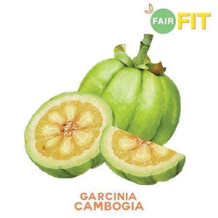 FAIR FIT MENGAWAL BERAT BADAN DAN SELERA MAKAN - Fair Fit ! Apa Fair Fit ini?? Kalau korang nak tahu Fair Fit ini, merupakan produk keluaran Cik Epal dan suaminya Jofliam ! Fair Fit ini ramai yang gelarkannya sebagai JUS KURUS ! Tapi, sebenarnya Fair Fit ini, bukan sahaja untuk kurus. Malah banyak keistimewaannya. Nanti mummy cerita ye ! Mummy baru juga mengambil FAIR FIT untuk MENGAWAL BERAT BADAN dan SELERA MAKAN. Pepaham je lah breastfeeding mom ni macam mana ! Selera makan tu, macam apa ! Setiap masa LAPAR ! Padahal dah breakfast nasi lemak, lunch pun nasi juga. Dinner? Memang nasi jug lah hahaha. So, badan ni, membesar jangan cakaplah ! FAIR FIT MENGAWAL BERAT BADAN DAN SELERA MAKAN Orang kata, usaha tangga kejayaan. Oleh itu...mummy memang tak tunggu dah...terus ambil FAIR FIT untuk MENGAWAL BERAT BADAN DAN SELERA MAKAN mummy sebelum terlambat ! Eh..eh..breastfeeding boleh ambil FAIR FIT ke? Yes, ibu-ibu yang sedang menyusukan anak (anak lebih 6 bulan) boleh ambil Fair Fit dah ! Insyaallah selamat ! KELEBIHAN FAIR FIT SELAIN MENGAWAL BERAT BADAN DAN SELERA MAKAN Ha....Fair Fit ini, bukan sahaja mengawal berat badan dan selera makan tau tapi ada banyak kelebihan Fair Fit ini , seperti :- Kelebihan Fair Fit : Mengawal Selera Makan Kelebihan Fair Fit : Mengawal Berat Badan Kelebihan Fair Fit : Membakar lemak Kelebihan Fair Fit : Menambah Tenaga Bab menambah tenaga ni, mummy rasa penting untuk persiapan bulan puasa Ramadan. Tak adalah badan lesu yakmat kan ! Kelebihan Fair Fit : Merawat Kulit Kelebihan Fair Fit : Mencerahkan kulit KEUNIKAN FAIR FIT Keunikan Fair Fit *Satu-satunya produk istimewa yang menggabungkan teknologi formula untuk putih dan kurus *Sesuai untuk lelaki dan perempuan *Tidak perlu bancuh, boleh terus minum. Rasanya macam mana? Masam masam manis ! Sedap ! *Rasa buah dan mengekalkan tenaga sepanjang hari * Gerenti tiada kesan kembali gemuk selepas berhenti * Tiada cirit birit, sembelit atau kesan yang tidak menyenangkan BELI FAIR FIT DENGAN AGEN @fairfitselangordarulehsan Beli Fair Fit dengan agen @selangordarulehsan jommm.. trusted seller Fair Fit. COD (kawasan terpilih), serta pengeposan segera (same day) atau courier. FREE delivery ! FREE gifts pun ada tau ! TESTIMONI CIK EPAL KURUS DENGAN FAIR FIT Testimoni kurus dengan Fair Fit ini, founder Cik Epal dah test sebelum Fair Fit ini di jual dan di keluarkan. Nampak tak perubahan Cik Epal tu ha? CIk Epal ,akin berseri, cantik dan kurus kan? Tunggu 3 bulan, mummy tepek gambar mummy pulak ye ! BAHAN-BAHAN YANG ADA DALAM FAIR FIT ! Apa bahan yang ada dalam Fair Fit? FairFit merupakan produk kurus yang diperbuat daripada bahan semula jadi seperti Garcinia Cambogia, Prune, Sakura, African Bush Mango, Guarana dan Ginkgo Biloba. Antara khasiat bahan-bahan tersebut :- . FAIR FIT SELAMAT ! ADA HALAL DAN PENGELASAN MINUMAN DARI KKM Dalam mencari produk kurus yang sesuai, kita bukan melihat kepada keberkesanannya sahaja tetapi kita juga harus melihat sejauh mana sesuatu produk itu SELAMAT DIGUNAKAN FairFit telah disahkan selamat oleh pengkelasan makanan dan minuman KEMENTERIAN KESIHATAN MALAYSIA (KKM) (No.Rujukan : 150617/06/022) FairFit juga telah mendapat pengesahan HALAL daripada JAKIM. Jangan tunggu lama sangat jom dapatkan Fair Fit dari kami : Whatsapp : http://www.wasap.my/60126460421/nakfairfit Instagram : https://www.instagram.com/fairfitselangordarulehsan/?hl=en FAIR FIT MENGAWAL BERAT BADAN DAN SELERA MAKAN - Fair Fit ! Apa Fair Fit ini?? Kalau korang nak tahu Fair Fit ini, merupakan produk keluaran Cik Epal dan suaminya Jofliam ! Fair Fit ini ramai yang gelarkannya sebagai JUS KURUS ! Tapi, sebenarnya Fair Fit ini, bukan sahaja untuk kurus. Malah banyak keistimewaannya. Nanti mummy cerita ye ! Mummy baru juga mengambil FAIR FIT untuk MENGAWAL BERAT BADAN dan SELERA MAKAN. Pepaham je lah breastfeeding mom ni macam mana ! Selera makan tu, macam apa ! Setiap masa LAPAR ! Padahal dah breakfast nasi lemak, lunch pun nasi juga. Dinner? Memang nasi jug lah hahaha. So, badan ni, membesar jangan cakaplah ! FAIR FIT MENGAWAL BERAT BADAN DAN SELERA MAKAN Orang kata, usaha tangga kejayaan. Oleh itu...mummy memang tak tunggu dah...terus ambil FAIR FIT untuk MENGAWAL BERAT BADAN DAN SELERA MAKAN mummy sebelum terlambat ! Eh..eh..breastfeeding boleh ambil FAIR FIT ke? Yes, ibu-ibu yang sedang menyusukan anak (anak lebih 6 bulan) boleh ambil Fair Fit dah ! Insyaallah selamat ! KELEBIHAN FAIR FIT SELAIN MENGAWAL BERAT BADAN DAN SELERA MAKAN Ha....Fair Fit ini, bukan sahaja mengawal berat badan dan selera makan tau tapi ada banyak kelebihan Fair Fit ini , seperti :- Kelebihan Fair Fit : Mengawal Selera Makan Kelebihan Fair Fit : Mengawal Berat Badan Kelebihan Fair Fit : Membakar lemak Kelebihan Fair Fit : Menambah Tenaga Bab menambah tenaga ni, mummy rasa penting untuk persiapan bulan puasa Ramadan. Tak adalah badan lesu yakmat kan ! Kelebihan Fair Fit : Merawat Kulit Kelebihan Fair Fit : Mencerahkan kulit KEUNIKAN FAIR FIT Keunikan Fair Fit *Satu-satunya produk istimewa yang menggabungkan teknologi formula untuk putih dan kurus *Sesuai untuk lelaki dan perempuan *Tidak perlu bancuh, boleh terus minum. Rasanya macam mana? Masam masam manis ! Sedap ! *Rasa buah dan mengekalkan tenaga sepanjang hari * Gerenti tiada kesan kembali gemuk selepas berhenti * Tiada cirit birit, sembelit atau kesan yang tidak menyenangkan BELI FAIR FIT DENGAN AGEN @fairfitselangordarulehsan Beli Fair Fit dengan agen @selangordarulehsan jommm.. trusted seller Fair Fit. COD (kawasan terpilih), serta pengeposan segera (same day) atau courier. FREE delivery ! FREE gifts pun ada tau ! TESTIMONI CIK EPAL KURUS DENGAN FAIR FIT Testimoni kurus dengan Fair Fit ini, founder Cik Epal dah test sebelum Fair Fit ini di jual dan di keluarkan. Nampak tak perubahan Cik Epal tu ha? CIk Epal ,akin berseri, cantik dan kurus kan? Tunggu 3 bulan, mummy tepek gambar mummy pulak ye ! BAHAN-BAHAN YANG ADA DALAM FAIR FIT ! Apa bahan yang ada dalam Fair Fit? FairFit merupakan produk kurus yang diperbuat daripada bahan semula jadi seperti Garcinia Cambogia, Prune, Sakura, African Bush Mango, Guarana dan Ginkgo Biloba. Antara khasiat bahan-bahan tersebut :- . FAIR FIT SELAMAT ! ADA HALAL DAN PENGELASAN MINUMAN DARI KKM Dalam mencari produk kurus yang sesuai, kita bukan melihat kepada keberkesanannya sahaja tetapi kita juga harus melihat sejauh mana sesuatu produk itu SELAMAT DIGUNAKAN FairFit telah disahkan selamat oleh pengkelasan makanan dan minuman KEMENTERIAN KESIHATAN MALAYSIA (KKM) (No.Rujukan : 150617/06/022) FairFit juga telah mendapat pengesahan HALAL daripada JAKIM. Jangan tunggu lama sangat jom dapatkan Fair Fit dari kami : Whatsapp : http://www.wasap.my/60126460421/nakfairfit Instagram : https://www.instagram.com/fairfitselangordarulehsan/?hl=en