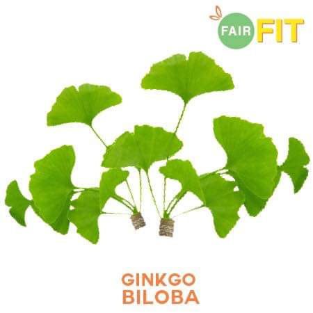 FAIR FIT MENGAWAL BERAT BADAN DAN SELERA MAKAN - Fair Fit ! Apa Fair Fit ini?? Kalau korang nak tahu Fair Fit ini, merupakan produk keluaran Cik Epal dan suaminya Jofliam ! Fair Fit ini ramai yang gelarkannya sebagai JUS KURUS ! Tapi, sebenarnya Fair Fit ini, bukan sahaja untuk kurus. Malah banyak keistimewaannya. Nanti mummy cerita ye ! Mummy baru juga mengambil FAIR FIT untuk MENGAWAL BERAT BADAN dan SELERA MAKAN. Pepaham je lah breastfeeding mom ni macam mana ! Selera makan tu, macam apa ! Setiap masa LAPAR ! Padahal dah breakfast nasi lemak, lunch pun nasi juga. Dinner? Memang nasi jug lah hahaha. So, badan ni, membesar jangan cakaplah ! FAIR FIT MENGAWAL BERAT BADAN DAN SELERA MAKAN Orang kata, usaha tangga kejayaan. Oleh itu...mummy memang tak tunggu dah...terus ambil FAIR FIT untuk MENGAWAL BERAT BADAN DAN SELERA MAKAN mummy sebelum terlambat ! Eh..eh..breastfeeding boleh ambil FAIR FIT ke? Yes, ibu-ibu yang sedang menyusukan anak (anak lebih 6 bulan) boleh ambil Fair Fit dah ! Insyaallah selamat ! KELEBIHAN FAIR FIT SELAIN MENGAWAL BERAT BADAN DAN SELERA MAKAN Ha....Fair Fit ini, bukan sahaja mengawal berat badan dan selera makan tau tapi ada banyak kelebihan Fair Fit ini , seperti :- Kelebihan Fair Fit : Mengawal Selera Makan Kelebihan Fair Fit : Mengawal Berat Badan Kelebihan Fair Fit : Membakar lemak Kelebihan Fair Fit : Menambah Tenaga Bab menambah tenaga ni, mummy rasa penting untuk persiapan bulan puasa Ramadan. Tak adalah badan lesu yakmat kan ! Kelebihan Fair Fit : Merawat Kulit Kelebihan Fair Fit : Mencerahkan kulit KEUNIKAN FAIR FIT Keunikan Fair Fit *Satu-satunya produk istimewa yang menggabungkan teknologi formula untuk putih dan kurus *Sesuai untuk lelaki dan perempuan *Tidak perlu bancuh, boleh terus minum. Rasanya macam mana? Masam masam manis ! Sedap ! *Rasa buah dan mengekalkan tenaga sepanjang hari * Gerenti tiada kesan kembali gemuk selepas berhenti * Tiada cirit birit, sembelit atau kesan yang tidak menyenangkan BELI FAIR FIT DENGAN AGEN @fairfitselangordarulehsan Beli Fair Fit dengan agen @selangordarulehsan jommm.. trusted seller Fair Fit. COD (kawasan terpilih), serta pengeposan segera (same day) atau courier. FREE delivery ! FREE gifts pun ada tau ! TESTIMONI CIK EPAL KURUS DENGAN FAIR FIT Testimoni kurus dengan Fair Fit ini, founder Cik Epal dah test sebelum Fair Fit ini di jual dan di keluarkan. Nampak tak perubahan Cik Epal tu ha? CIk Epal ,akin berseri, cantik dan kurus kan? Tunggu 3 bulan, mummy tepek gambar mummy pulak ye ! BAHAN-BAHAN YANG ADA DALAM FAIR FIT ! Apa bahan yang ada dalam Fair Fit? FairFit merupakan produk kurus yang diperbuat daripada bahan semula jadi seperti Garcinia Cambogia, Prune, Sakura, African Bush Mango, Guarana dan Ginkgo Biloba. Antara khasiat bahan-bahan tersebut :- . FAIR FIT SELAMAT ! ADA HALAL DAN PENGELASAN MINUMAN DARI KKM Dalam mencari produk kurus yang sesuai, kita bukan melihat kepada keberkesanannya sahaja tetapi kita juga harus melihat sejauh mana sesuatu produk itu SELAMAT DIGUNAKAN FairFit telah disahkan selamat oleh pengkelasan makanan dan minuman KEMENTERIAN KESIHATAN MALAYSIA (KKM) (No.Rujukan : 150617/06/022) FairFit juga telah mendapat pengesahan HALAL daripada JAKIM. Jangan tunggu lama sangat jom dapatkan Fair Fit dari kami : Whatsapp : http://www.wasap.my/60126460421/nakfairfit Instagram : https://www.instagram.com/fairfitselangordarulehsan/?hl=en FAIR FIT MENGAWAL BERAT BADAN DAN SELERA MAKAN - Fair Fit ! Apa Fair Fit ini?? Kalau korang nak tahu Fair Fit ini, merupakan produk keluaran Cik Epal dan suaminya Jofliam ! Fair Fit ini ramai yang gelarkannya sebagai JUS KURUS ! Tapi, sebenarnya Fair Fit ini, bukan sahaja untuk kurus. Malah banyak keistimewaannya. Nanti mummy cerita ye ! Mummy baru juga mengambil FAIR FIT untuk MENGAWAL BERAT BADAN dan SELERA MAKAN. Pepaham je lah breastfeeding mom ni macam mana ! Selera makan tu, macam apa ! Setiap masa LAPAR ! Padahal dah breakfast nasi lemak, lunch pun nasi juga. Dinner? Memang nasi jug lah hahaha. So, badan ni, membesar jangan cakaplah ! FAIR FIT MENGAWAL BERAT BADAN DAN SELERA MAKAN Orang kata, usaha tangga kejayaan. Oleh itu...mummy memang tak tunggu dah...terus ambil FAIR FIT untuk MENGAWAL BERAT BADAN DAN SELERA MAKAN mummy sebelum terlambat ! Eh..eh..breastfeeding boleh ambil FAIR FIT ke? Yes, ibu-ibu yang sedang menyusukan anak (anak lebih 6 bulan) boleh ambil Fair Fit dah ! Insyaallah selamat ! KELEBIHAN FAIR FIT SELAIN MENGAWAL BERAT BADAN DAN SELERA MAKAN Ha....Fair Fit ini, bukan sahaja mengawal berat badan dan selera makan tau tapi ada banyak kelebihan Fair Fit ini , seperti :- Kelebihan Fair Fit : Mengawal Selera Makan Kelebihan Fair Fit : Mengawal Berat Badan Kelebihan Fair Fit : Membakar lemak Kelebihan Fair Fit : Menambah Tenaga Bab menambah tenaga ni, mummy rasa penting untuk persiapan bulan puasa Ramadan. Tak adalah badan lesu yakmat kan ! Kelebihan Fair Fit : Merawat Kulit Kelebihan Fair Fit : Mencerahkan kulit KEUNIKAN FAIR FIT Keunikan Fair Fit *Satu-satunya produk istimewa yang menggabungkan teknologi formula untuk putih dan kurus *Sesuai untuk lelaki dan perempuan *Tidak perlu bancuh, boleh terus minum. Rasanya macam mana? Masam masam manis ! Sedap ! *Rasa buah dan mengekalkan tenaga sepanjang hari * Gerenti tiada kesan kembali gemuk selepas berhenti * Tiada cirit birit, sembelit atau kesan yang tidak menyenangkan BELI FAIR FIT DENGAN AGEN @fairfitselangordarulehsan Beli Fair Fit dengan agen @selangordarulehsan jommm.. trusted seller Fair Fit. COD (kawasan terpilih), serta pengeposan segera (same day) atau courier. FREE delivery ! FREE gifts pun ada tau ! TESTIMONI CIK EPAL KURUS DENGAN FAIR FIT Testimoni kurus dengan Fair Fit ini, founder Cik Epal dah test sebelum Fair Fit ini di jual dan di keluarkan. Nampak tak perubahan Cik Epal tu ha? CIk Epal ,akin berseri, cantik dan kurus kan? Tunggu 3 bulan, mummy tepek gambar mummy pulak ye ! BAHAN-BAHAN YANG ADA DALAM FAIR FIT ! Apa bahan yang ada dalam Fair Fit? FairFit merupakan produk kurus yang diperbuat daripada bahan semula jadi seperti Garcinia Cambogia, Prune, Sakura, African Bush Mango, Guarana dan Ginkgo Biloba. Antara khasiat bahan-bahan tersebut :- . FAIR FIT SELAMAT ! ADA HALAL DAN PENGELASAN MINUMAN DARI KKM Dalam mencari produk kurus yang sesuai, kita bukan melihat kepada keberkesanannya sahaja tetapi kita juga harus melihat sejauh mana sesuatu produk itu SELAMAT DIGUNAKAN FairFit telah disahkan selamat oleh pengkelasan makanan dan minuman KEMENTERIAN KESIHATAN MALAYSIA (KKM) (No.Rujukan : 150617/06/022) FairFit juga telah mendapat pengesahan HALAL daripada JAKIM. Jangan tunggu lama sangat jom dapatkan Fair Fit dari kami : Whatsapp : http://www.wasap.my/60126460421/nakfairfit Instagram : https://www.instagram.com/fairfitselangordarulehsan/?hl=en
